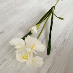 050167ml-610c-429x429.png