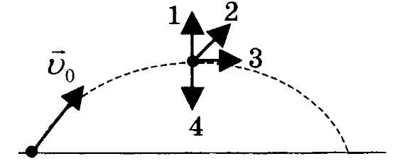 0501686h-236c-556x227.jpg