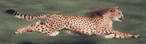 0501692e-2bd6-293x89.png
