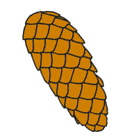 05016a1c-da30-200x200.png