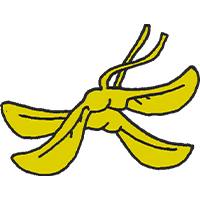 05016a1m-f49c-200x200.png