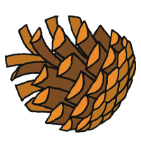 05016a1r-4d25-200x200.png