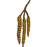 05016a1u-952e-200x200.png