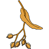 05016a1x-a58f-200x200.png