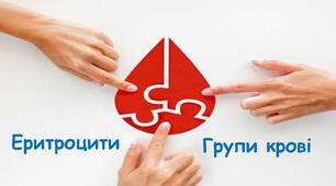 Еритроцити. Групи крові.