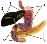 05016dp0-d430-165x155.png