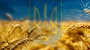 Семестрова з Захисту України 