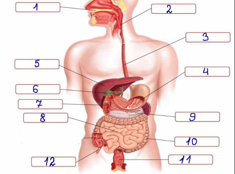05016hg5-c199-940x696.png