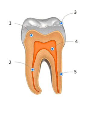 05016hj8-4ab6-194x218.png