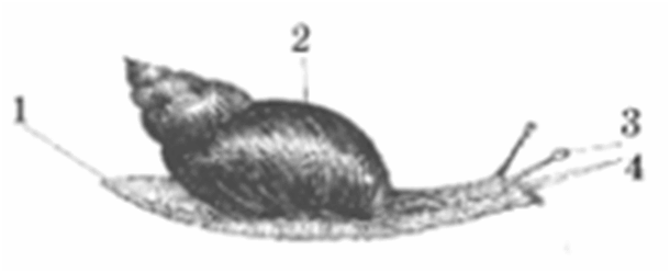 05016hmg-a136-610x249.png