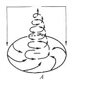 05016nfd-1f4a-173x206.png