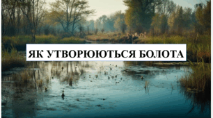 Презентація на тему "Як утворюються болота" 6 кл НУШ