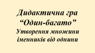 Презентація дидактична гра "Один-багато"
