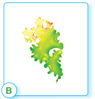 05016soi-1360-313x326.png