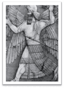 05016swf-3996-128x176.png