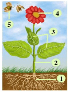 05016t8w-5b17-232x311.png