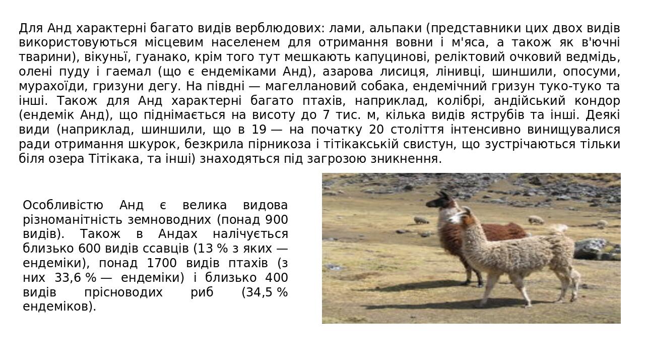 Презентація "Анди – найдовші гори світу" | Презентація. Географія