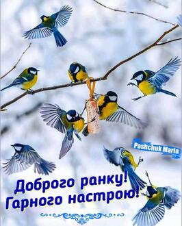 05016u3n-d4df-266x330.jpg