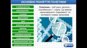 Закони спадковості Менделя та їхні цитологічні основи. Явище зчепленого успадкування. Хромосомна теорія спадковості.Практична робота. Розв’язування елементарних вправ з генетики (моно- та дигібридне схрещування).