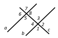 05016vit-9762-198x131.png