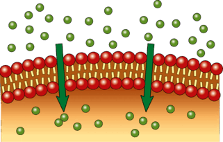 05016vlh-7987-321x205.png