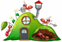05016vv9-0f87-210x141.png