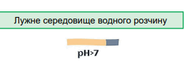 05016vw2-2809-262x97.png