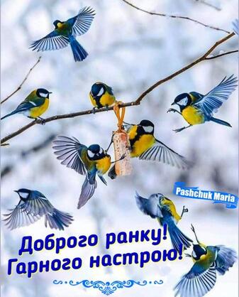 05016z9a-a947-337x418.jpg