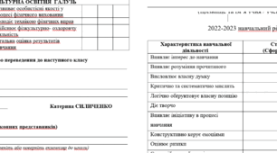 Свідоцтво досягнень 5 клас
