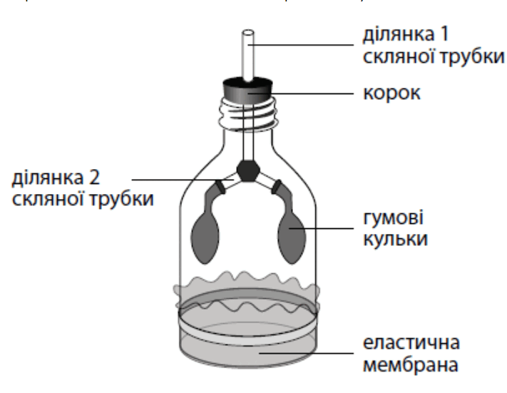 050172gk-c2ae-711x551.png
