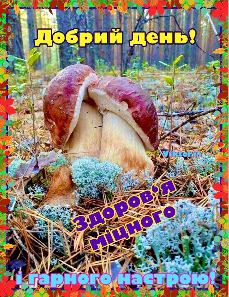 Добрий день! Колекція листівок | Good morning, Good morning gif, Beef