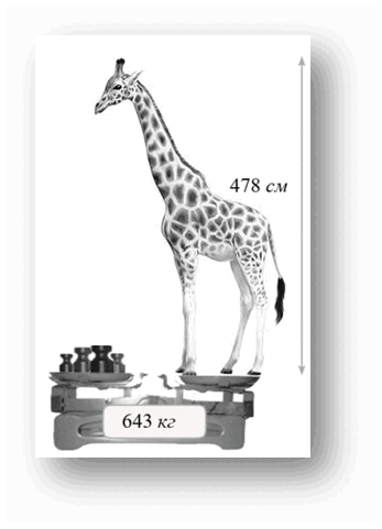 05017avx-10f6-347x481.png