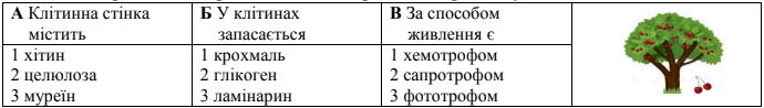 05017c3c-b8bb-690x98.png
