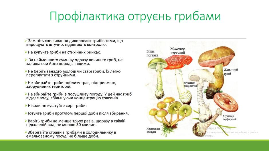 05017gf7-3332-940x529.jpg