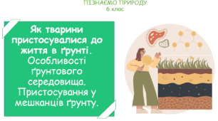 Урок на тему "Як тварини пристосувалися до життя в ґрунті. Особливості ґрунтового середовища. Пристосування у мешканців ґрунту." (Конспект, презентація, робочі картки для учнів)