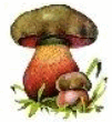 05017gpq-9af7-101x110.png