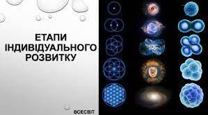 Етапи індивідуального розвитку.Лабораторне дослідження різних етапів ембріонального розвитку тварин.