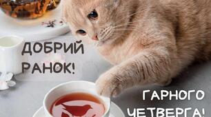 ЯДС 2 клас. Ланцюг живлення 