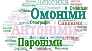  Омоніми. Пароніми. Синоніми. Антоніми
