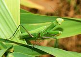 05017p5l-bd12-168x117.jpg