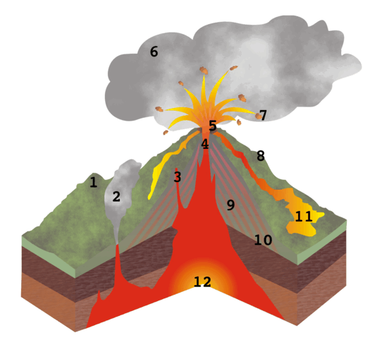 05017ua5-fec3-535x499.png