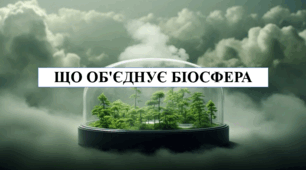 Презентація на тему "Що об'єднує біосфера" 6 кл НУШ