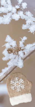 05017yox-f02a-126x378.png