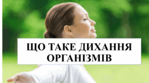 Що таке дихання  організмів?Як організми використовують інформацію з навколишнього середовища.