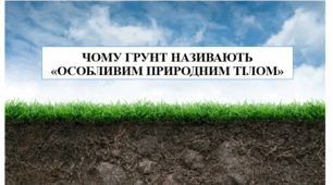 Презентація на тему "Чому ґрунт називають "особливим природним тілом" 6 кл НУШ