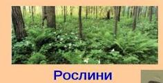 050182q4-c454-236x120.jpg