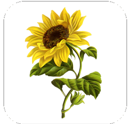 050182vv-cd5e-254x246.png