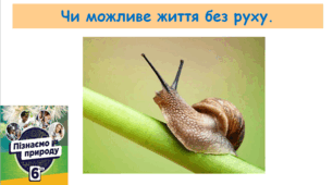 Презентація "Чи можливе життя без руху".