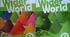 Wider world 2 unit 5