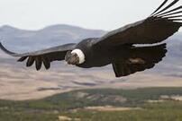 05018ano-1be8-202x135.jpg